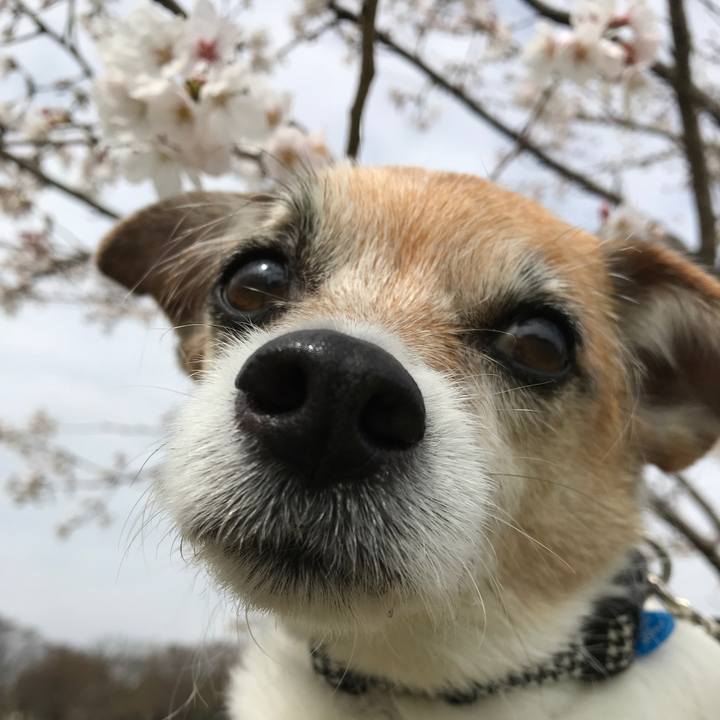 115d542f 27ed 4d14 a3b2 e4923af15e58 1616234774426