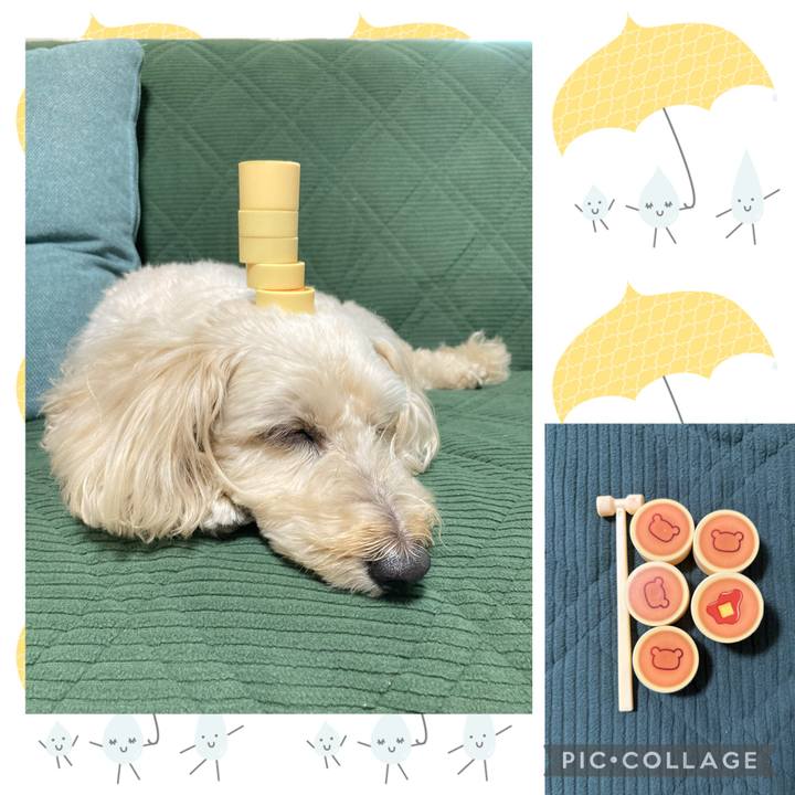 115d54e7 39d1 4ef0 8c94 2ad079b04f80 1762687358899