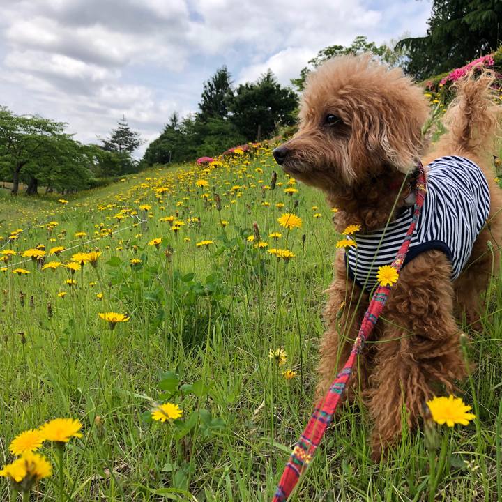 115d803c 9748 47e5 815b e37f8341bc53 1560067674814