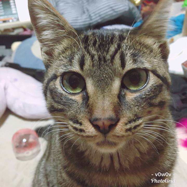 115d9a2d 38f3 491e b05f 042e2d3199eb 1548598021490