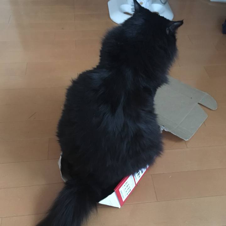 115dbb51 b717 4d14 a936 3f79f0a2918a 1544144428837