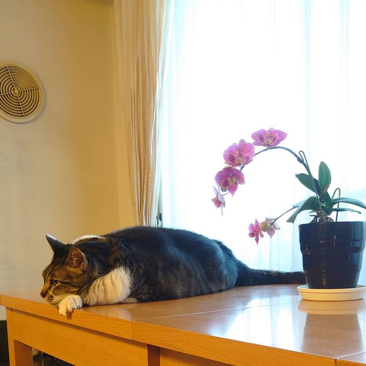 115dcbe4 bcac 4b24 8c05 e0171d778034 1649408281379