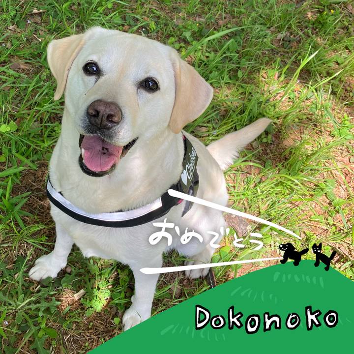 115e179b 1ea2 47f4 bca6 81a97177fabe 1686016779740