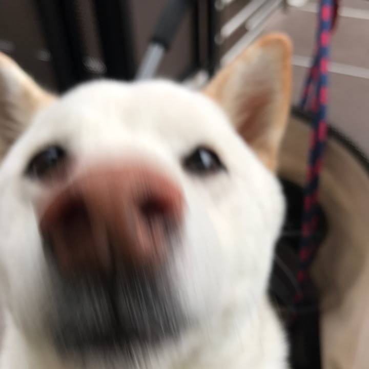 115e4875 4c91 4f8a 90f7 7932d869bca2 1510097770832