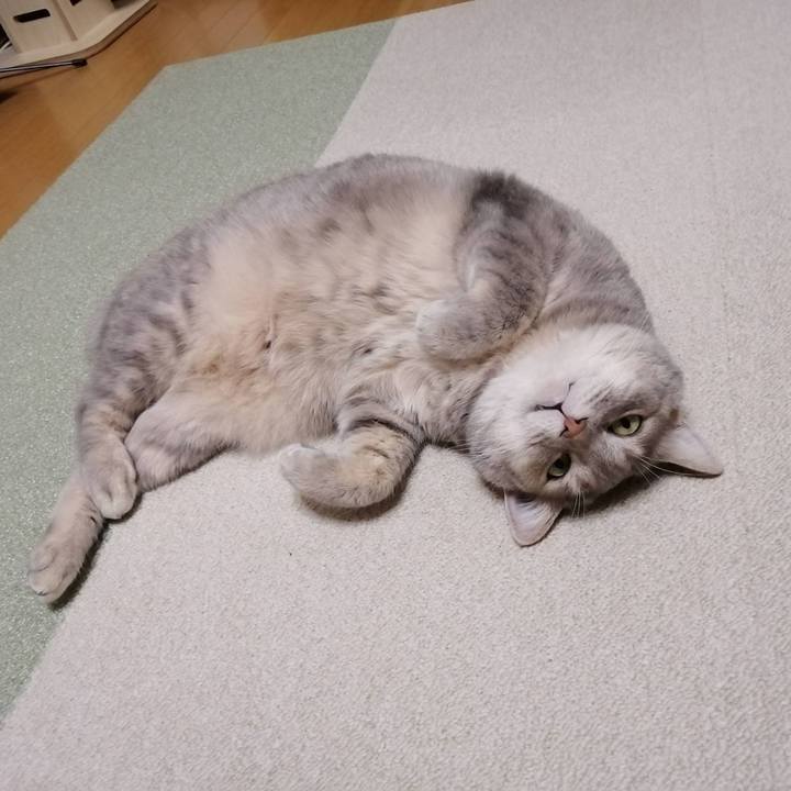 115e5344 e5bb 402f 8d19 ce0f74ad90b9 1626062980150