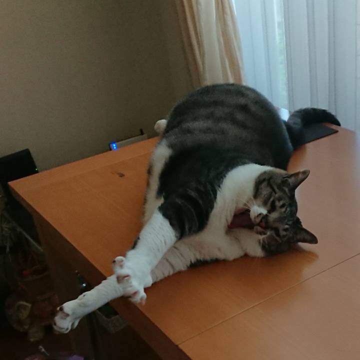 115e7d63 a195 458f 9d3a e54a33107759 1560984358917