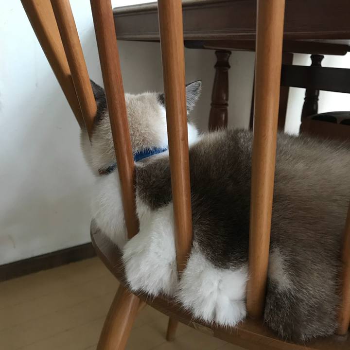 115ea163 f286 4690 b276 9504952808e0 1537922885918