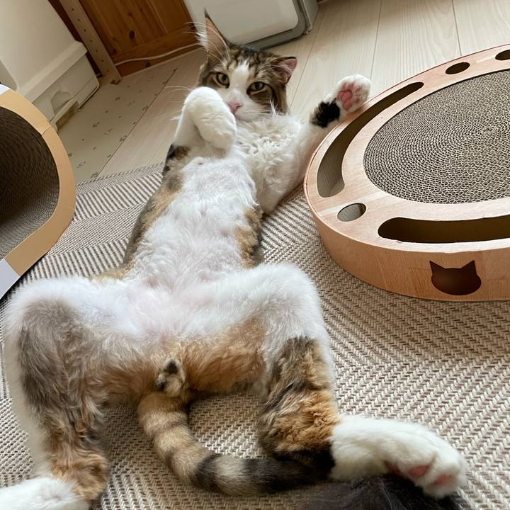 115eb1c3 6f87 4591 ba9c 1a7f36f001ed 1660513538604