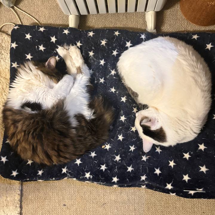 115eb2f1 c5f8 4dea 9f7b a82662f1e93e 1738971072999