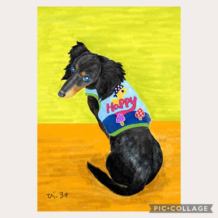 115eb71d 0df1 4f71 bdfb 67a377f3482f 1659650304094