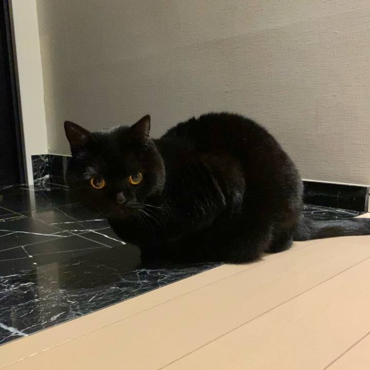 115ee06a ca7c 43bd 9f8a 80d31ae95e8d 1673785687889