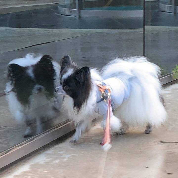 115eebd9 88ea 44a5 ad70 26a21e3ee940 1573728410909