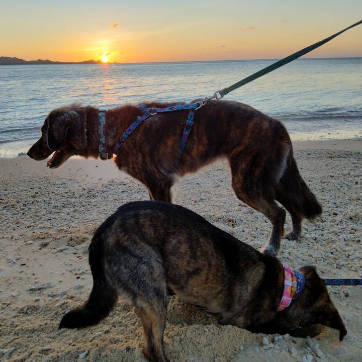 115ef0ea 96fd 4491 99ca 5f6b17995701 1625577742983