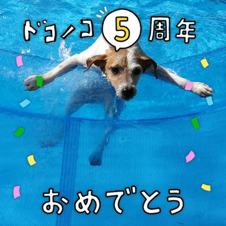 115ef1fb 17de 4b5b ae2d 51c4437a7df6 1623072603634