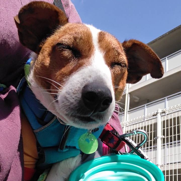 115ef77d 34a6 4b97 b0c1 3217d451d8e7 1622456002040