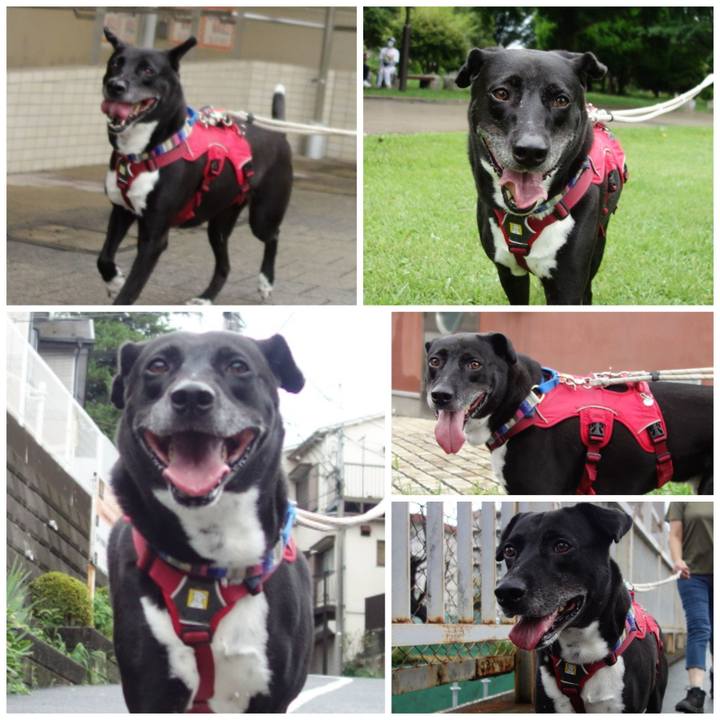 115f5353 9a93 4a42 a505 8b516057d605 1660437977175