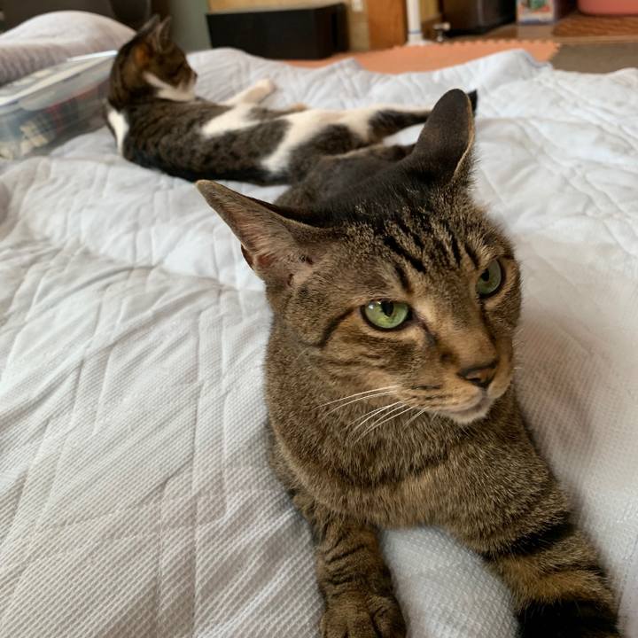 115f5a67 91b3 43b2 ae25 e2b96e3d45e9 1561942173659