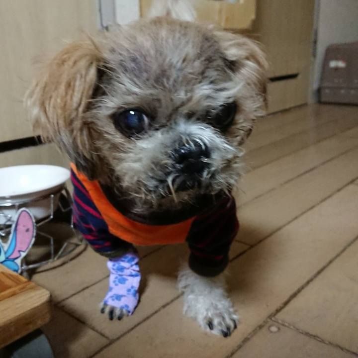 115fc251 ae88 4ba3 bbf9 1c510a760a3e 1653669295706