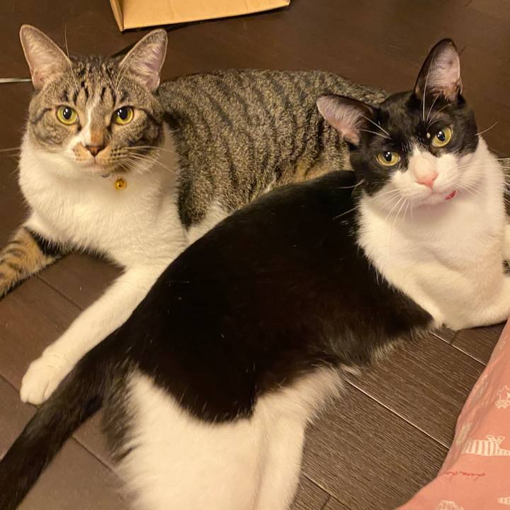 115fcd01 51f3 4f42 a77f cdfa1e027a5f 1697282078257