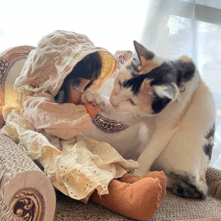 115fdc49 a2bf 48e3 92af 8da3eaa81c8d 1678140712424