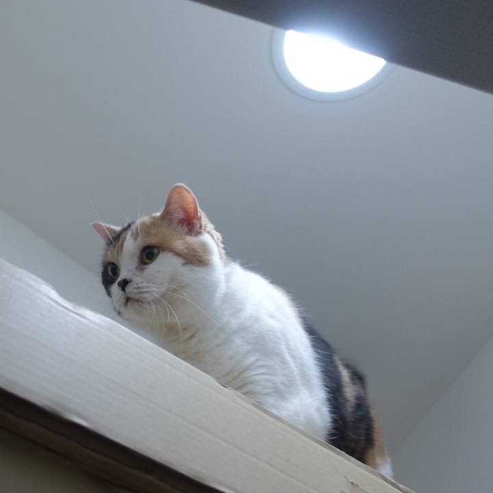 115fed5a 19b9 4596 b554 addd901e1e16 1525398823267