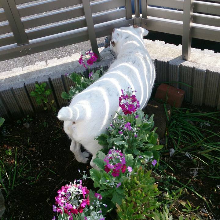 115ff202 a6c4 43d1 b9b8 b55c7bc0a18b 1517874878992