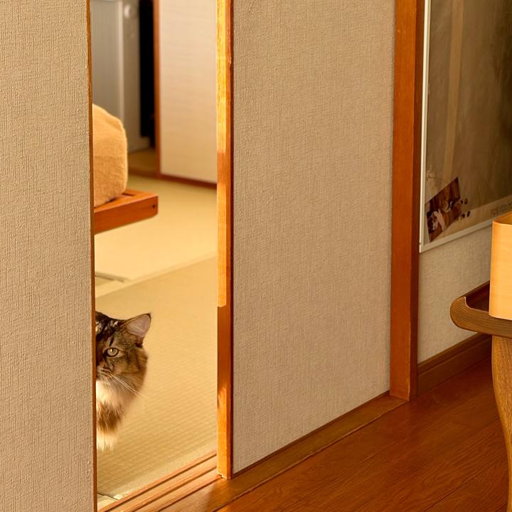 115ff8ca b43a 4bcd a3db b02cac1e6540 1762902386740