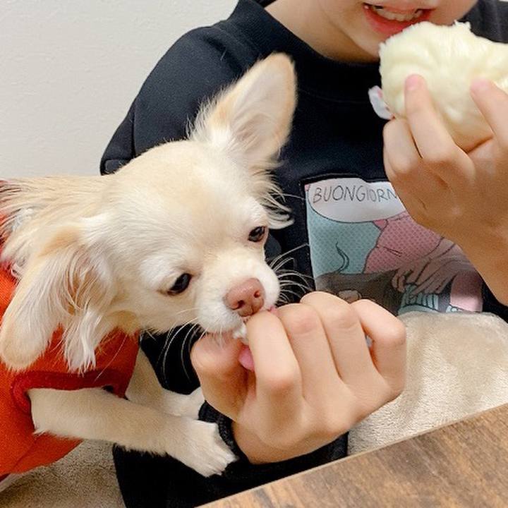 11600547 5a15 4906 8d49 d4685a2d3b44 1607135868951