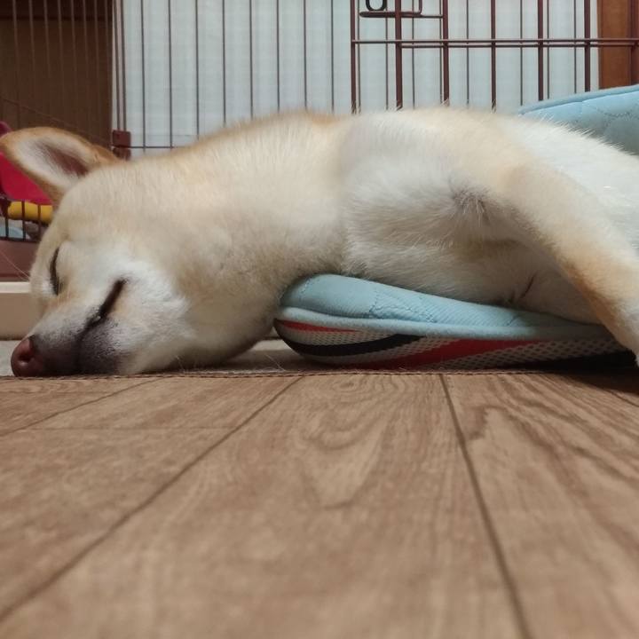 11601cf4 e107 49b6 9e28 4c033e1c1847 1534247744882