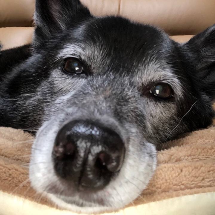 11604463 2e87 4688 8e88 1e8f1c03eb28 1643679164930