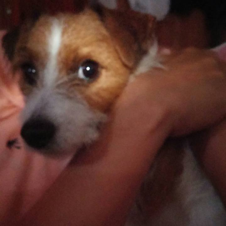 11606e87 d8b8 4b21 b57e b0243b223740 1537653340651