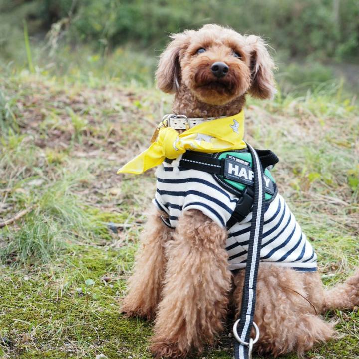 1160bca5 842e 4856 b565 21c53d687ed4 1509031440892