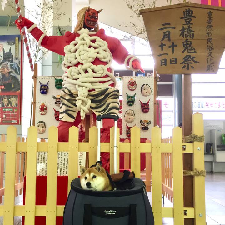 1160c319 b2d6 4dd5 99a7 6ace0f060af1 1547531753122