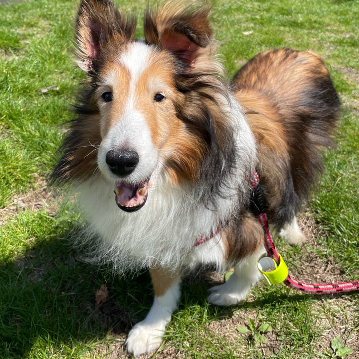 1160d34e ebed 4c13 904b ee0732b42519 1620962666153