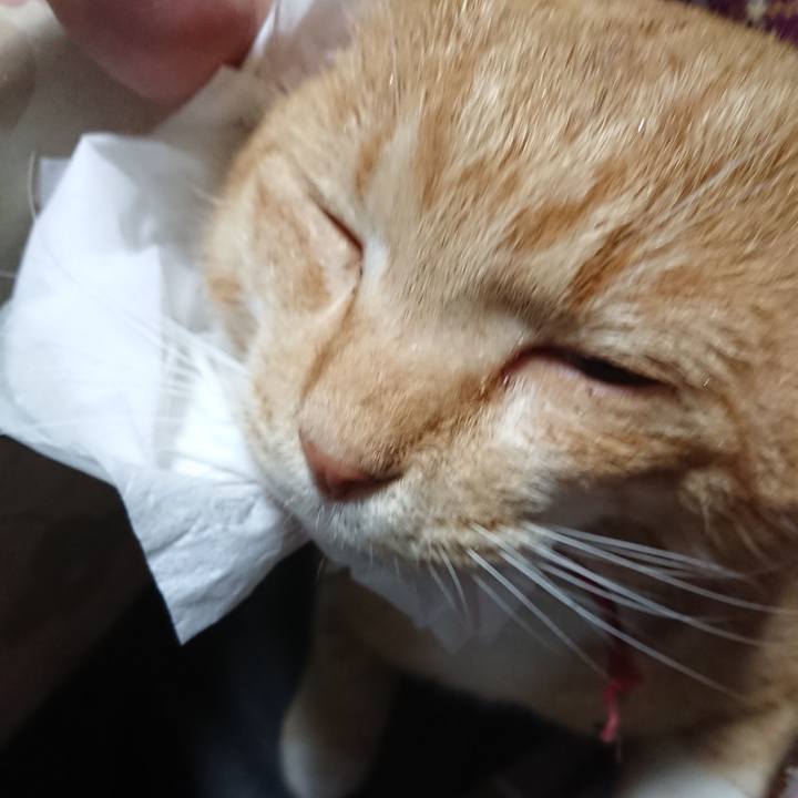 1160f22f cb04 4d84 b067 954d6bc8c7b1 1575064868381