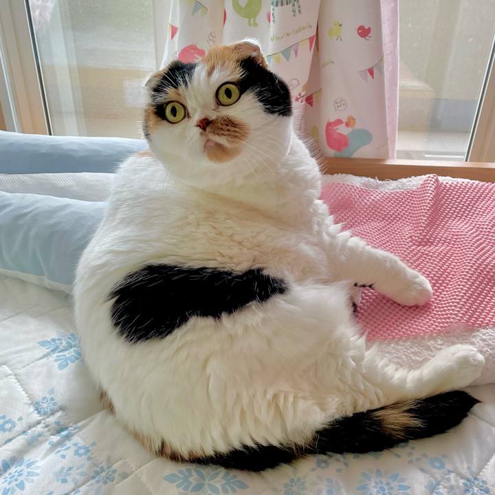 1160fc44 98aa 438b 881b 8610c2e78567 1657534970142