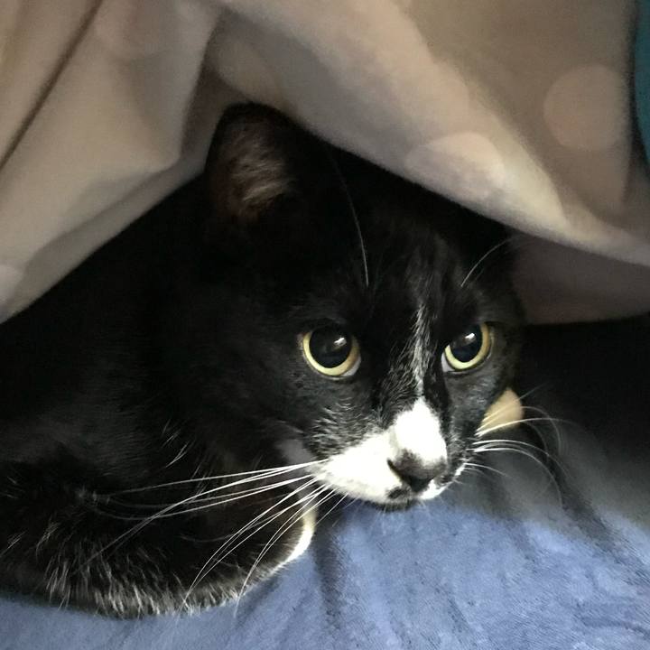 11611333 6862 4281 b2e5 259d69db2f2c 1674013124360