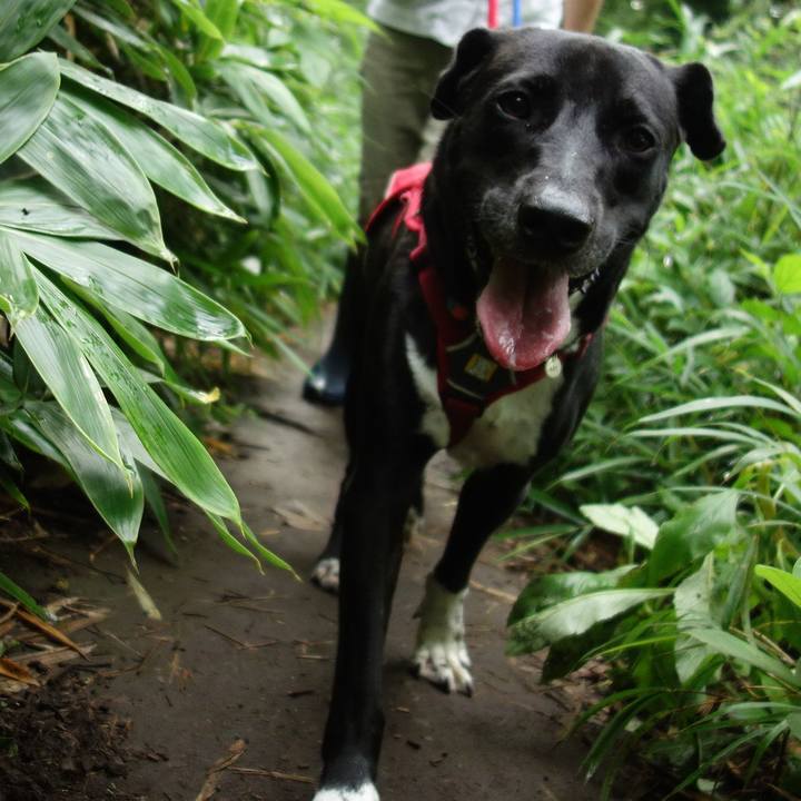 116113e4 b38c 43b2 ba18 5b58cd3d75ba 1594078820448