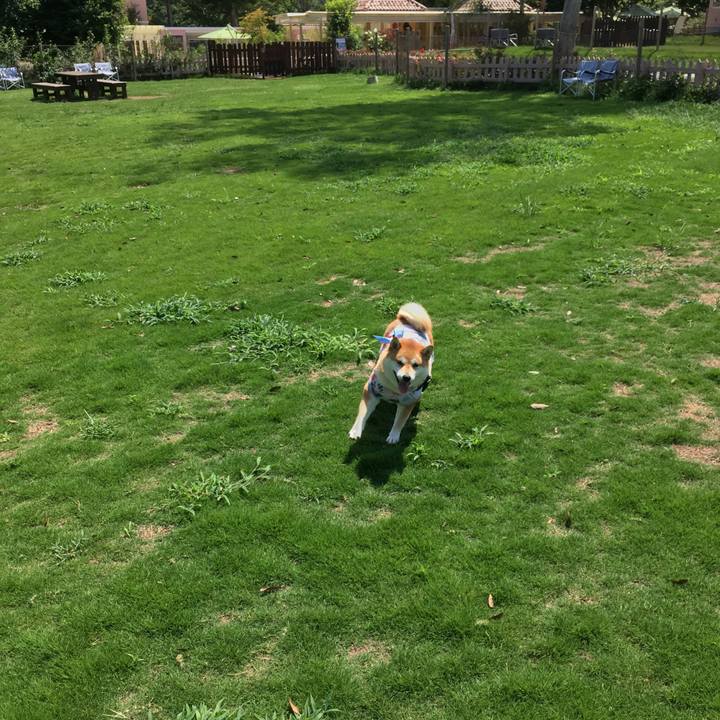 1161445d 6599 4632 93fd ebd8fabecbb9 1532049971352