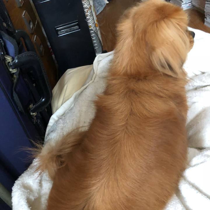 1161490e fc69 4a08 a117 393c83215b3f 1517105822281