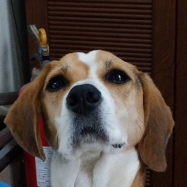 11616c2f 8e3e 409d 8812 416a7f45f378 1602925775969