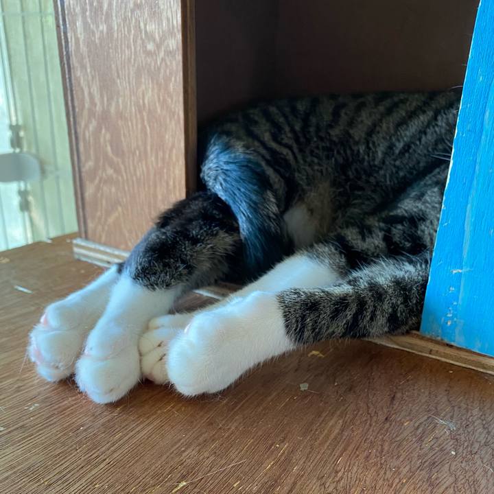 11617046 970c 409a 9b81 50bd676fd706 1718701324260