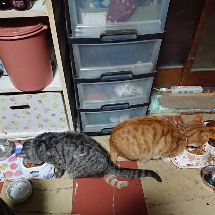 1161a460 c9b5 4486 a8a9 1064f7301672 1572378039821