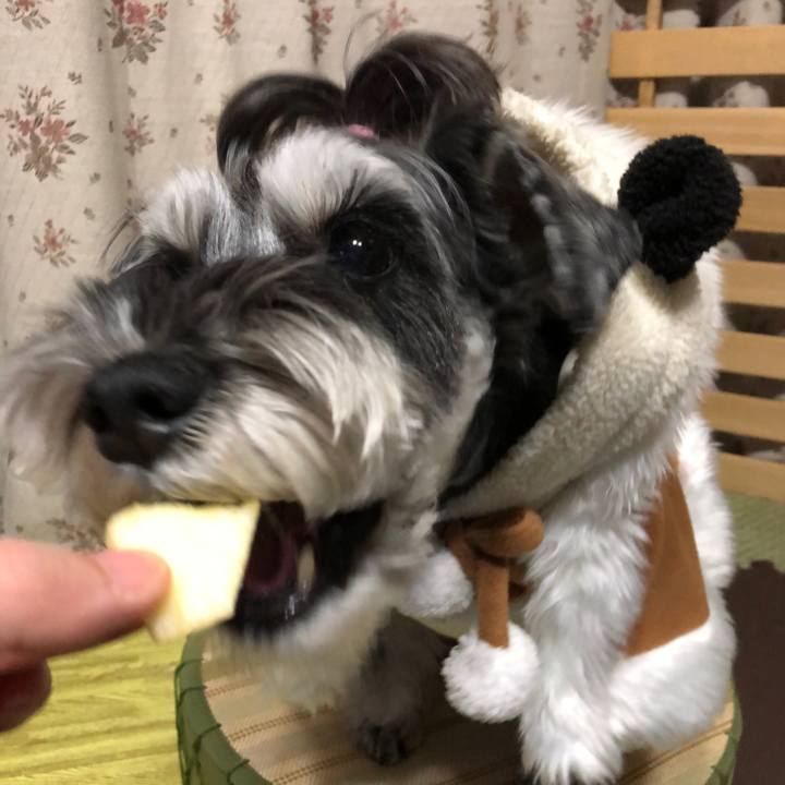 1161ace4 75ec 4f28 b9bd 22d4d46ba831 1703424570258