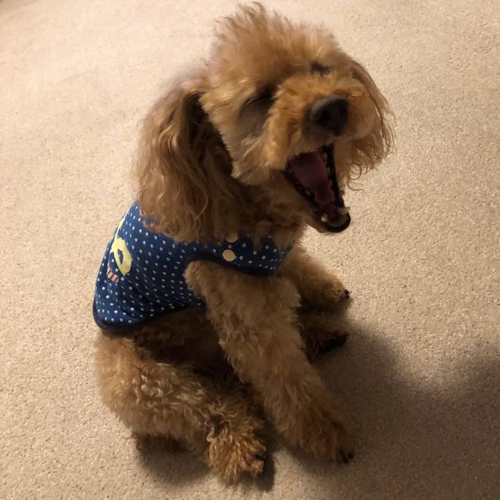 1161c1fc f3be 49bd a2fe cf024a29c4f9 1525389162004