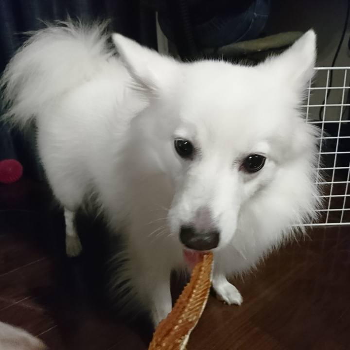 1161f227 b136 4ad7 a039 4fc1c2a7c560 1604147212370