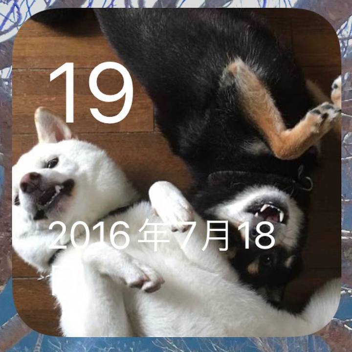 11623ae8 cc60 4567 90c9 a8ec49a86b19 1658188430413