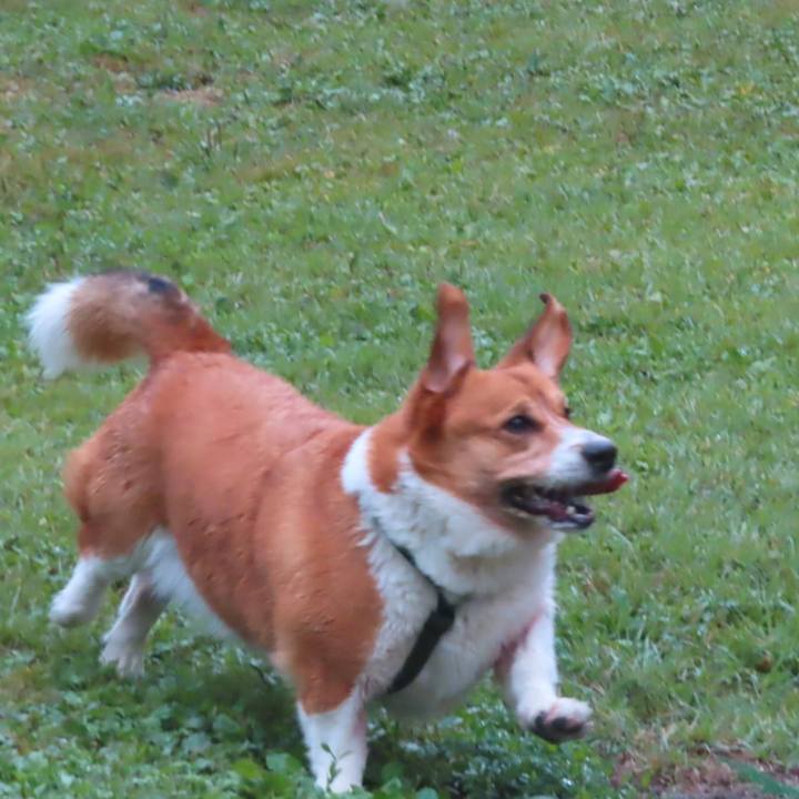 11623d9b 48ce 4511 bd8c 2c74fb5350b9 1757557996321