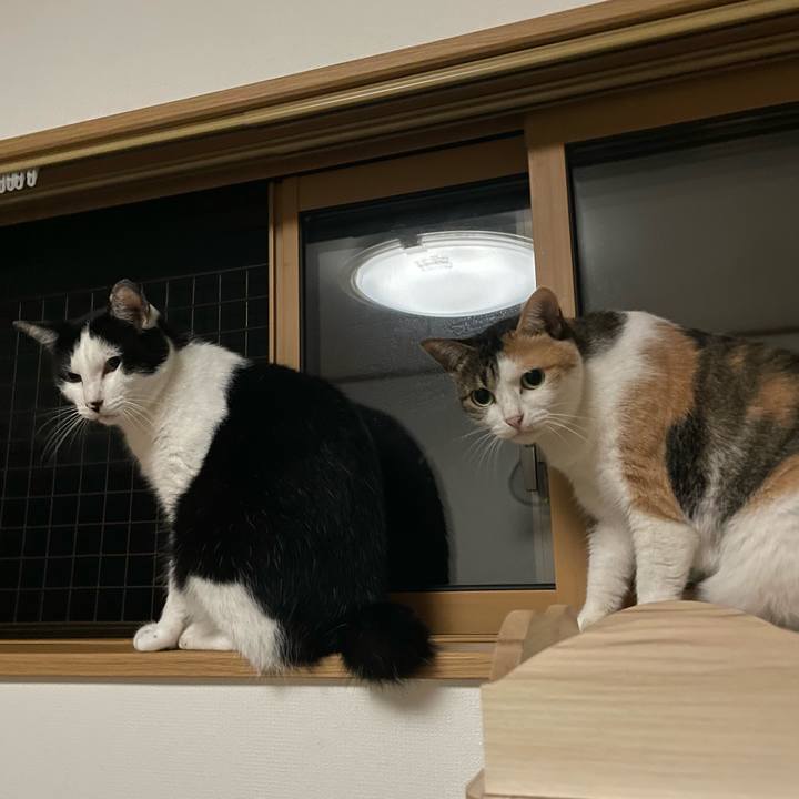 11625979 24ab 452c 9c81 fdd96fe2df40 1661024231326