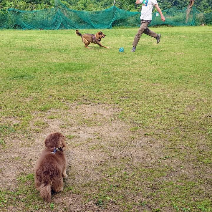 1162a10f b1f6 49e9 bcc3 5d699a00c479 1749348390772